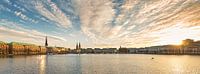 Alster  im Goldenen Licht