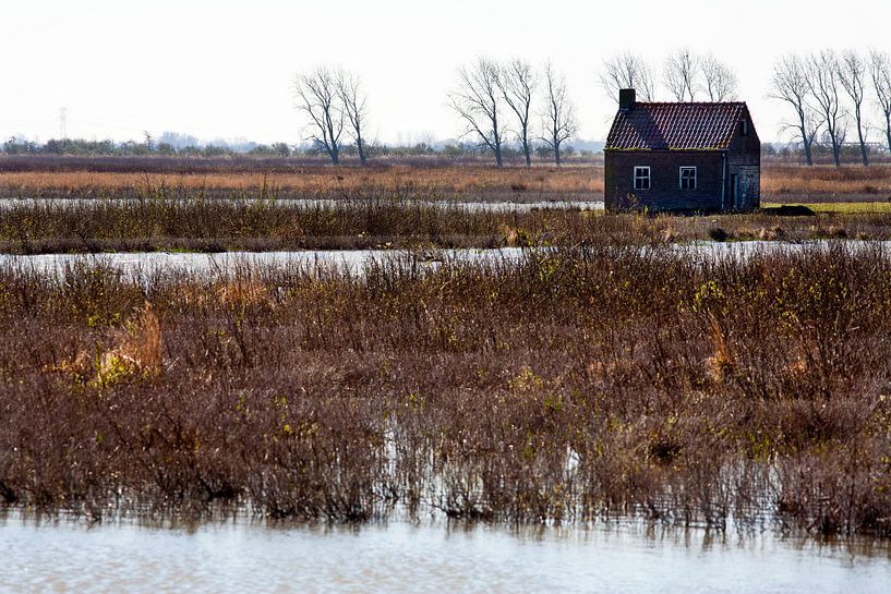 Haus auf Tiengemeten der Natur zurückgegeben von Peter de Kievith Fotografie