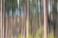 Impressionistischer Wald