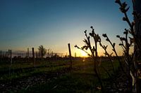 Sonnenuntergangslandschaft