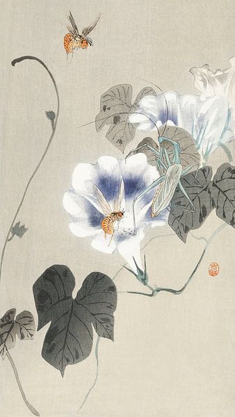 Insectes près du liseron (1900 - 1930) par Ohara Koson par Studio POPPY