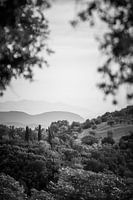 Toskanische Landschaft