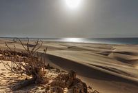 Boa Vista sand dunes