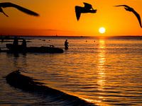 Sonnenuntergang auf dem Meer