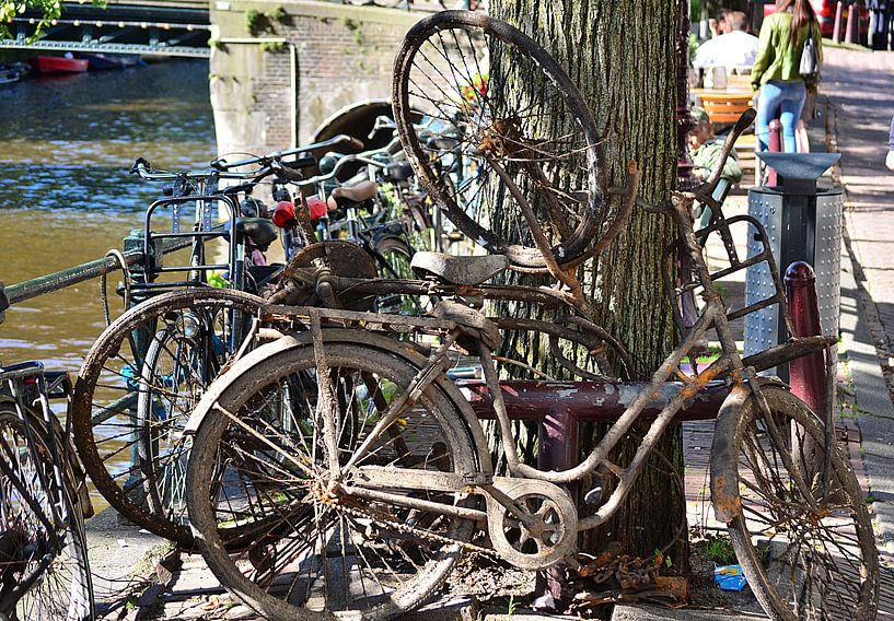 In de Amsterdamse grachten van Erik Johansson