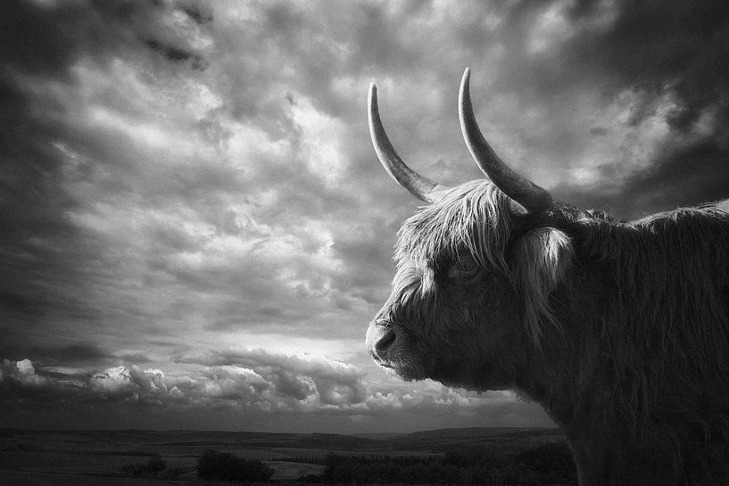  les Highlands par Holger Droste