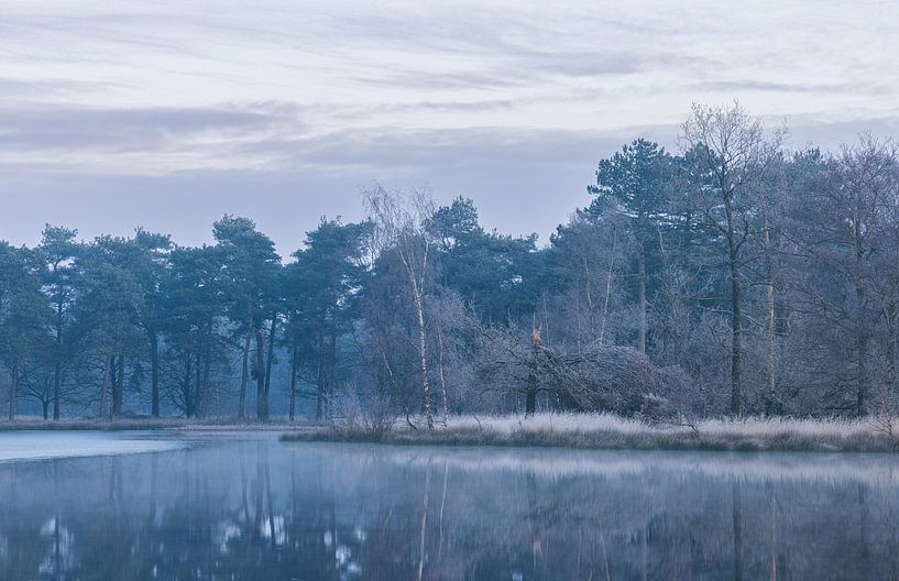 Naturschutzgebiet Nationalpark Dwingelderveld (Drenthe) - Niederlande von Marcel Kerdijk