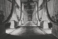 authentieke wijnkelder met oude wijnvaten