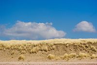 Duinen tegen blauwe lucht