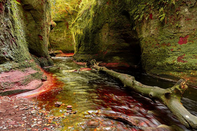 Devil's Pulpit (Finnich Glen) laag met boom van Theo Fokker