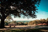 View of the Mookerheide
