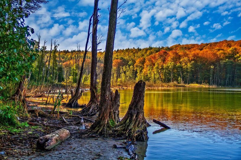 Vue automnale sur le lac par Holger Felix