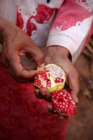 Süßer Schatz der Todgha-Oase