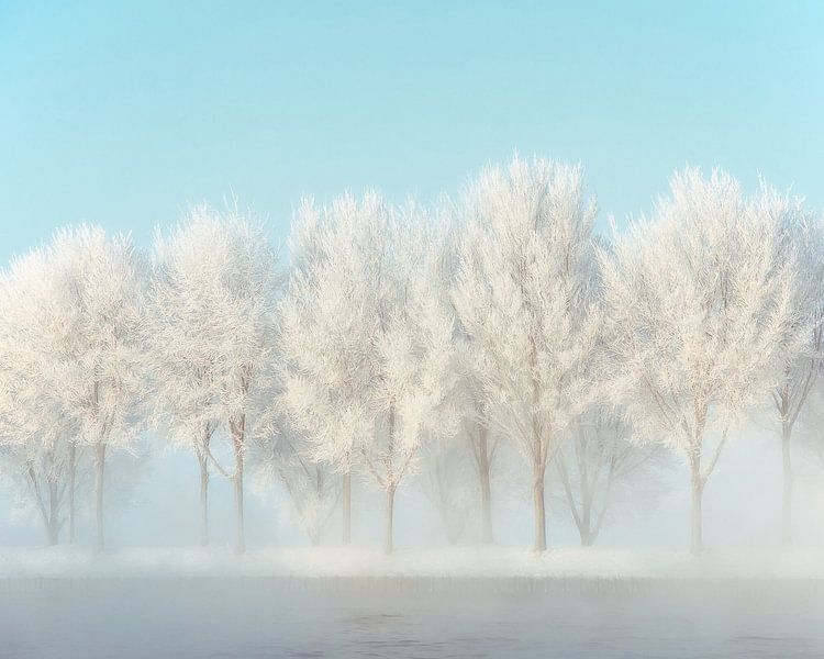 Gefrorene Gasse von Lars van de Goor