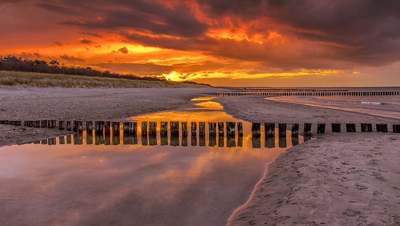 golden evening by Friedhelm Peters