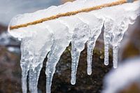 Des glaçons par une froide journée d'hiver