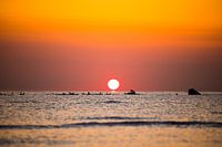 Sonnenaufgang weckt die Möwen