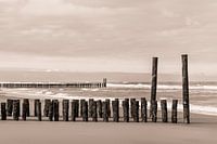 Domburg beach