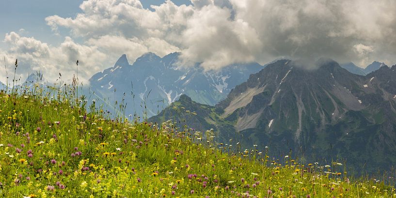 Fleurs des Alpes par Walter G. Allgöwer