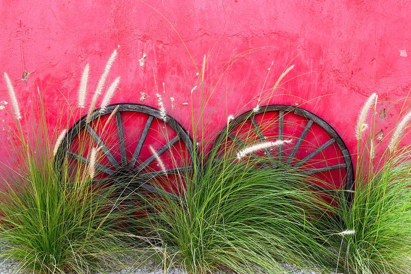 Two vintage wheels against pink cheerful wall with green reeds by Studio LE-gals