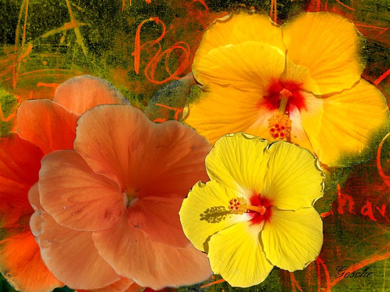 Jeu floral par Gertrud Scheffler