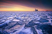 Kennzeichen des Pferdes