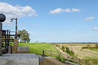 Innendeichs - Außendeichs Foto 13