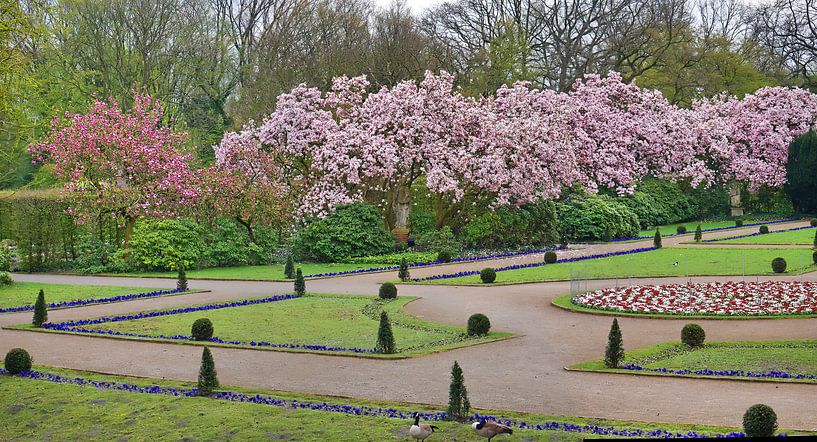 Magnolienpanorama 5 par Edgar Schermaul