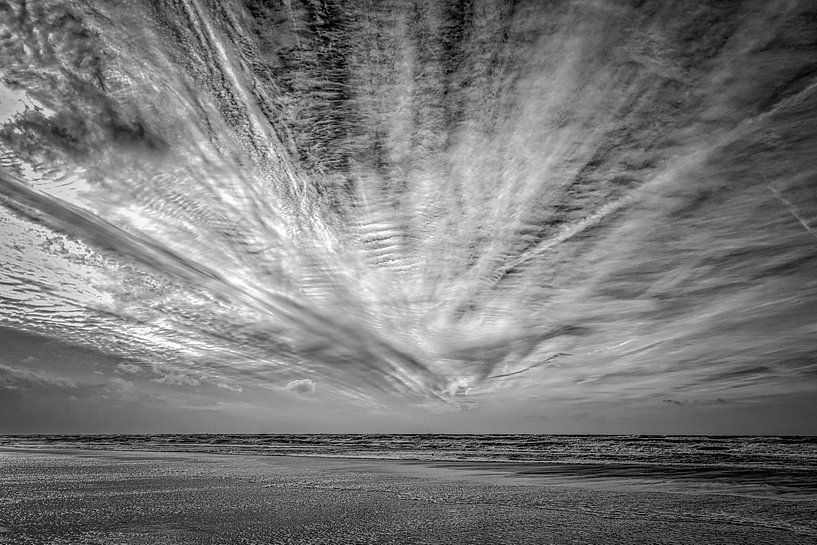 Windfedern über der Nordsee von eric van der eijk