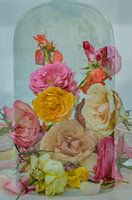 Les roses sont éternelles