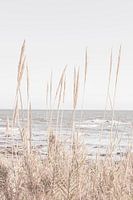 Strand_Vass_001