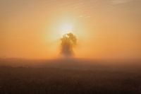 Sonnenaufgang im Moor