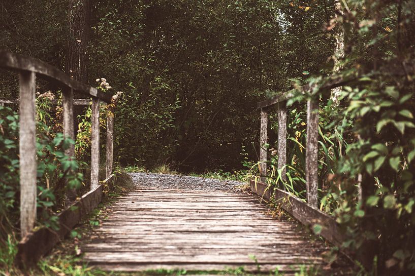 Die Brücke von Bjorn Cornelissen