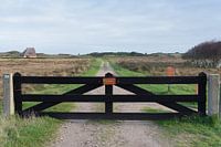 Clôture en bois réserve naturelle De Muy Texel Pays-Bas