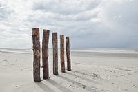 Pile Heads à Renesse