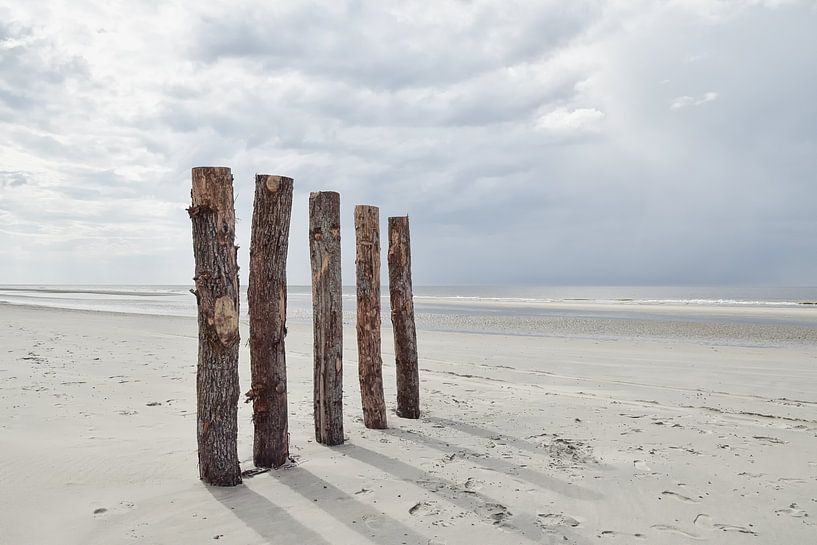 Stapelköpfe bei Renesse von Zeeland op Foto