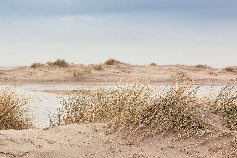 Dunes - On the coast of Terschelling by Marjan Schmit Visser