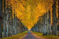 Herrenhäuser Gärten in Hannover, Deutschland