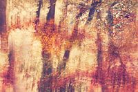 Ein herbstlicher Eindruck