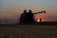 Ernte bei Sonnenuntergang