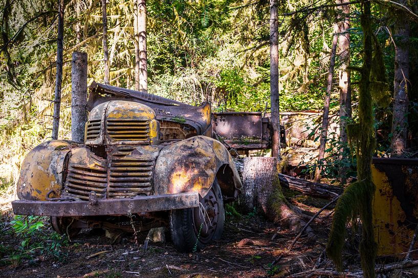 Pick Up abandonné dans les forêts françaises par Gentleman of Decay