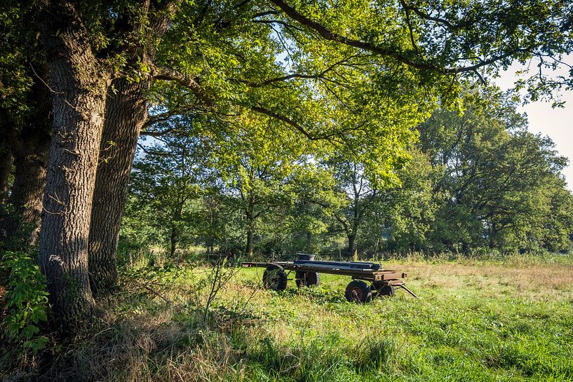 Cart in meadow near Anloo by Evert Jan Luchies