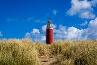 Leuchtturm auf Texel
