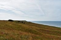 The Swedish landscape