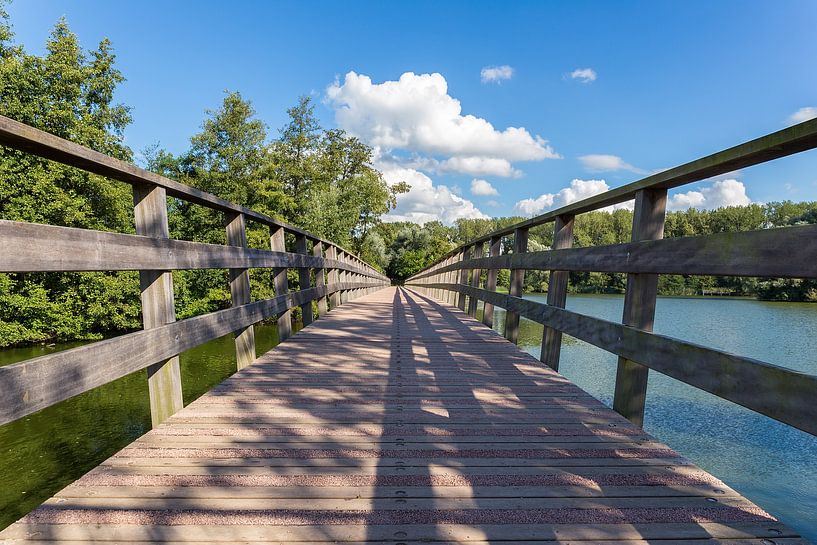 Long wooden bridge over water in nature park by Ben Schonewille