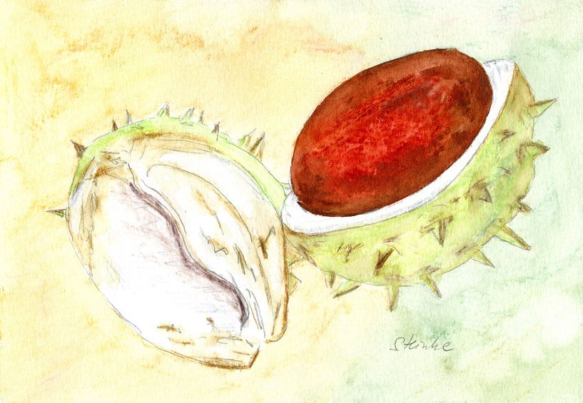 Kastanien von Sandra Steinke