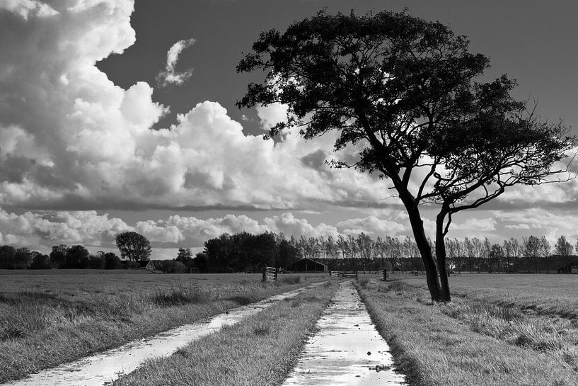 Wolken, Baum und Weg von robert wierenga