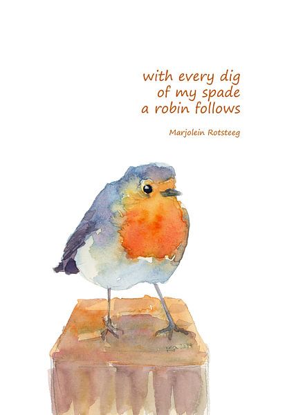 A Robin follows Bird Haiku English by Karen Kaspar