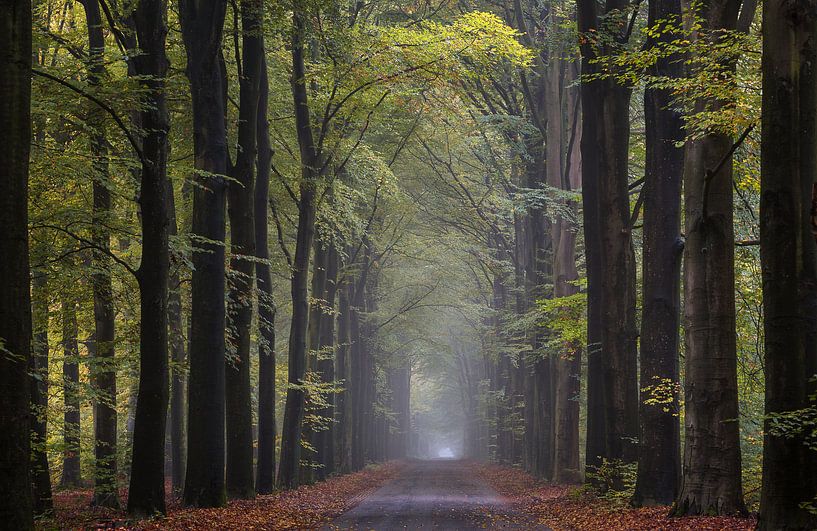 Waldgut Gieten von Jurjen Veerman
