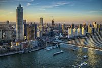 Lebhaftes Rotterdam im Abendlicht